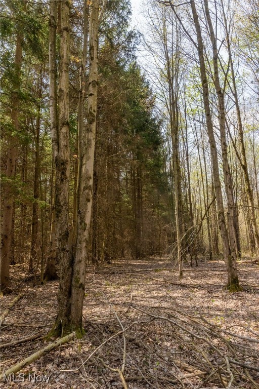 Crosby Creek Road, Rome, Ohio image 12