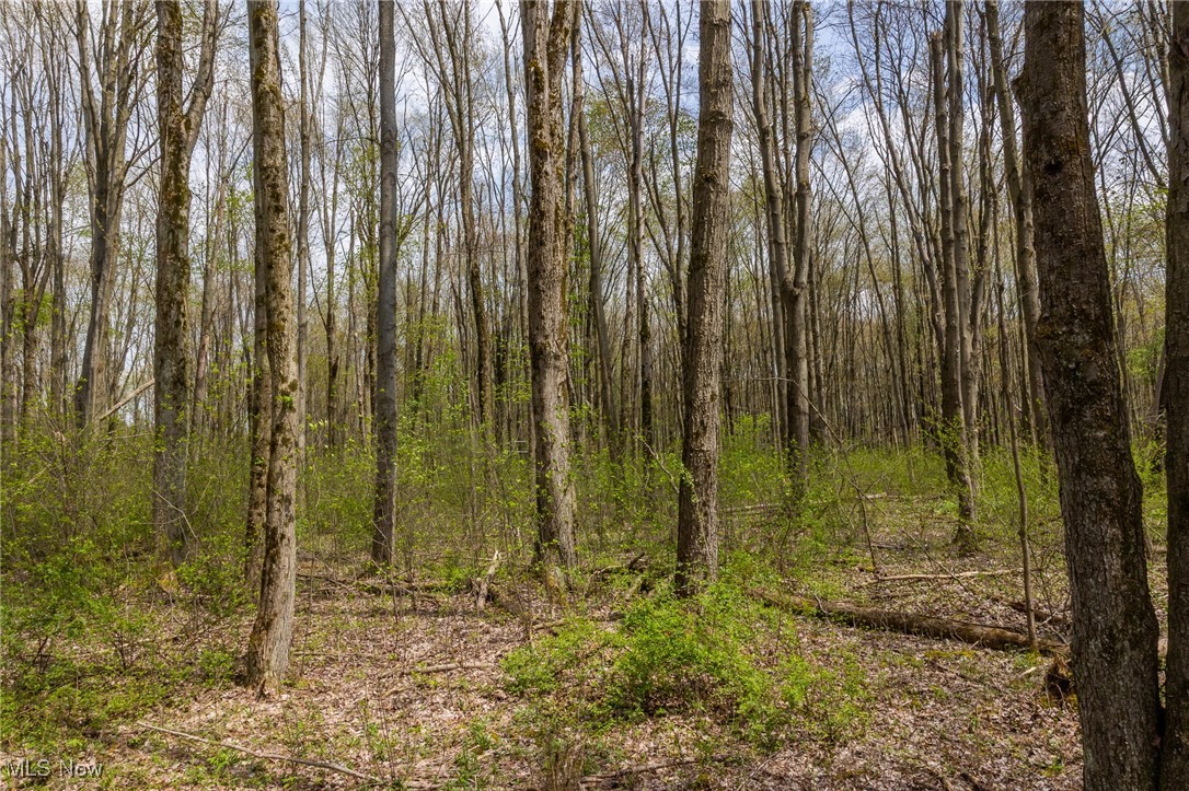 Crosby Creek Road, Rome, Ohio image 10