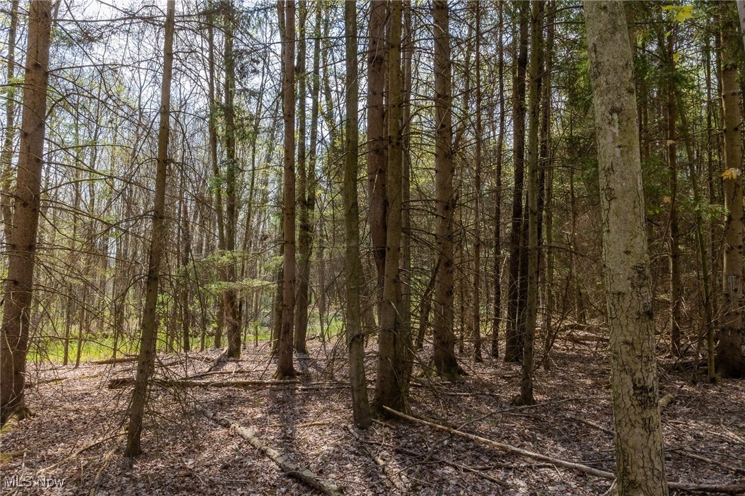 Crosby Creek Road, Rome, Ohio image 14