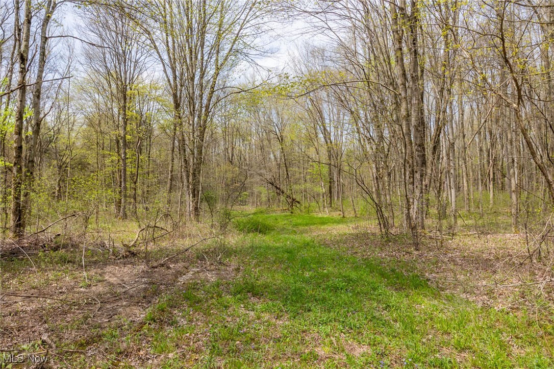 Crosby Creek Road, Rome, Ohio image 4