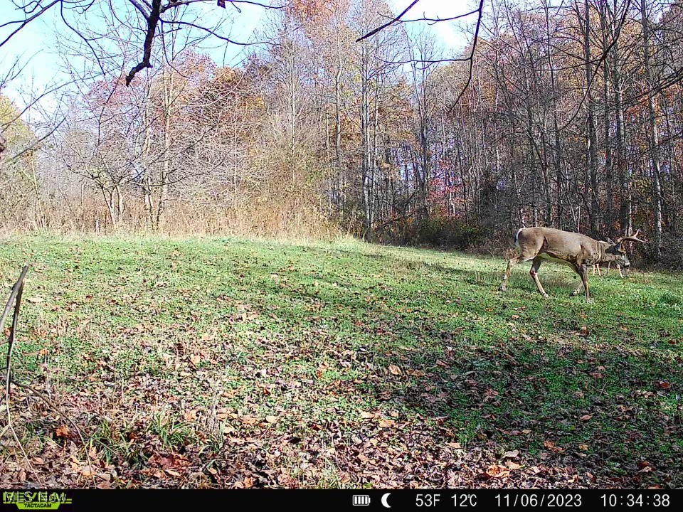 Pert Hill Rd, Nashport, Ohio image 23