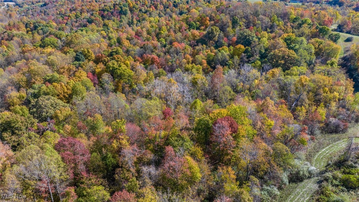 Pert Hill Rd, Nashport, Ohio image 17