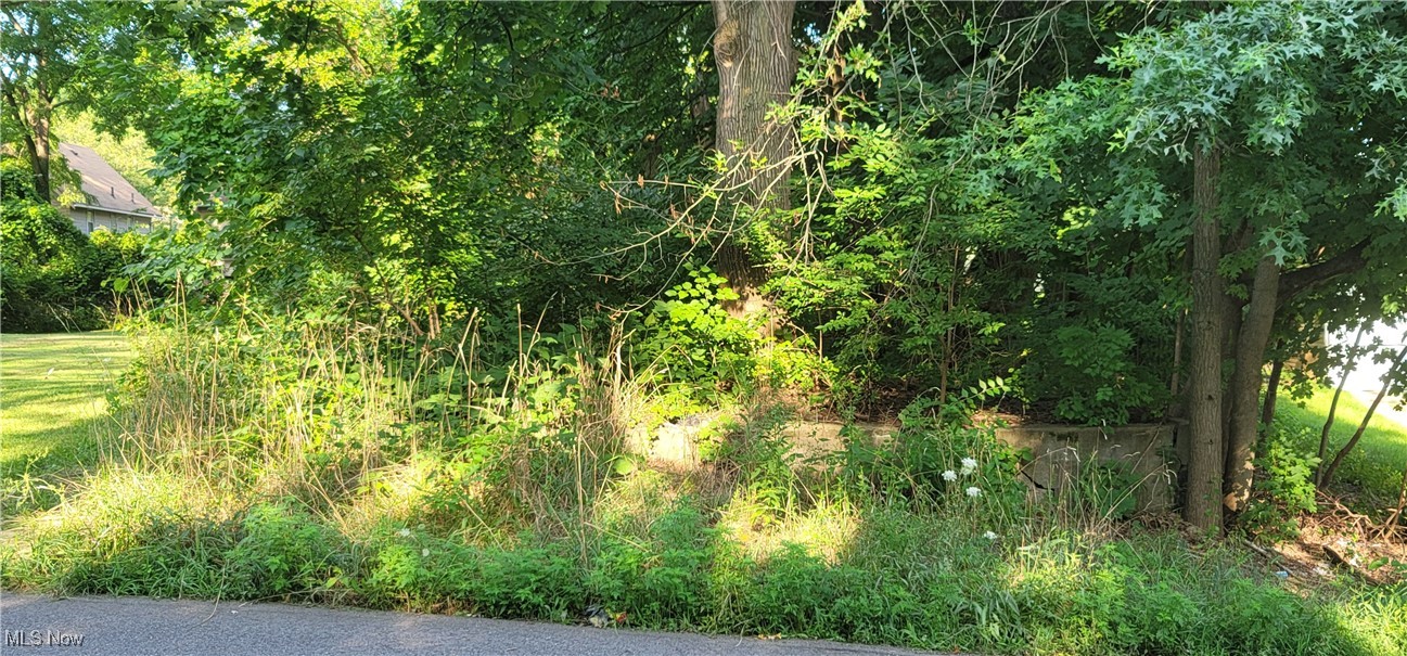 Vacant Lot for Sale in North Akron.