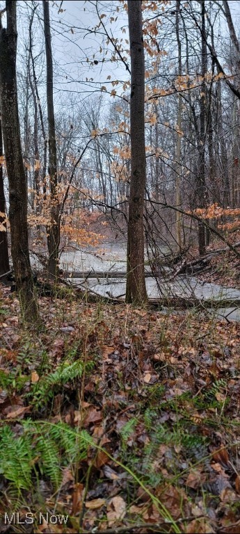 4518 State Route 800, Dover, Ohio image 34