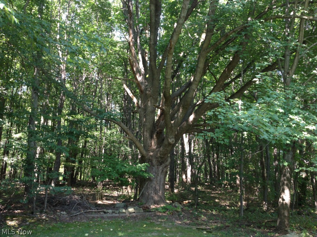 Timber Trails - Residential Lease