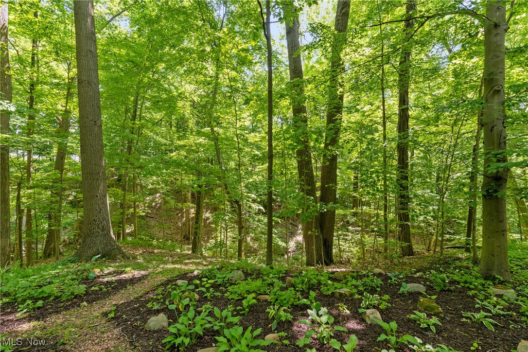 51689 Becker Road, Wakeman, Ohio image 24