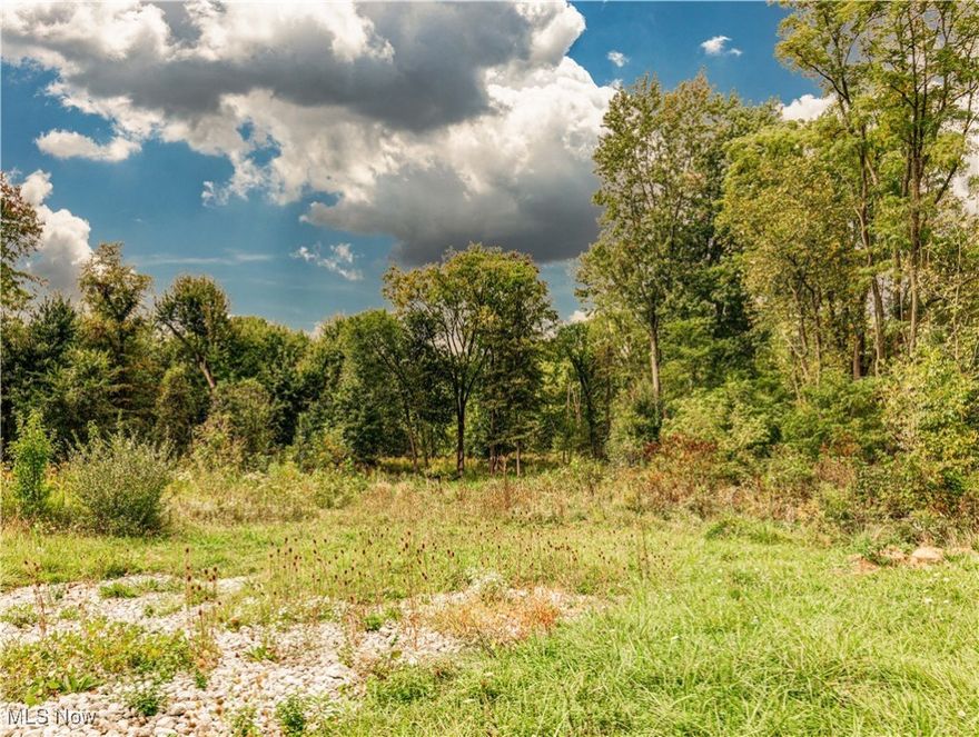 Build your dream home on the last available lot in Wyoga Lake Park. This .61 acre lot has public water & sewer, gas & electricity at the street and comes with the ability to enjoy the Wyoga Lake amenities. Ten minutes to Blossom, the Metro Parks & more!