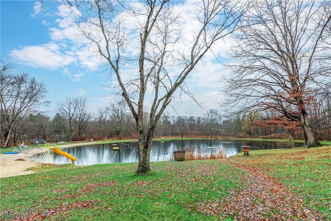 18919 Riverview Drive, Chagrin Falls, Ohio image 48