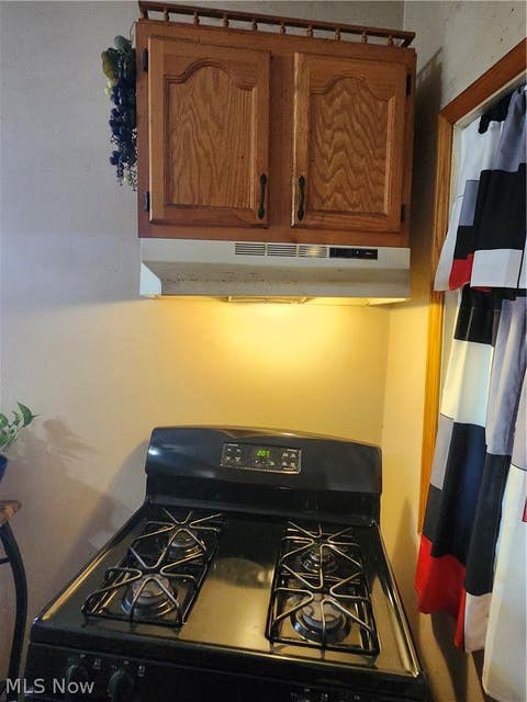 Tiny photo for 2922 Minnie Avenue, Cleveland, OH 44104 (MLS # 5232926)