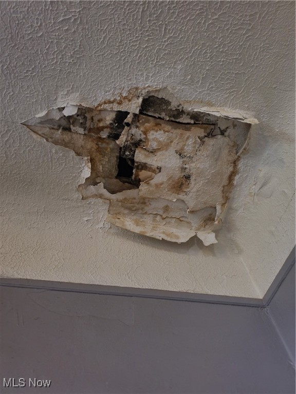 Cleveland, Ohio 44106, United States, 4 Bedrooms Bedrooms, ,2 BathroomsBathrooms,Residential,Active,232498