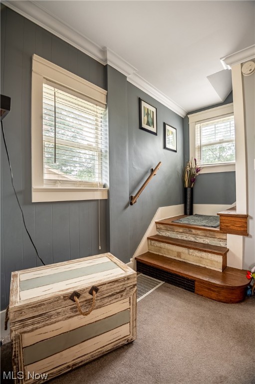 Bellevue - Residential