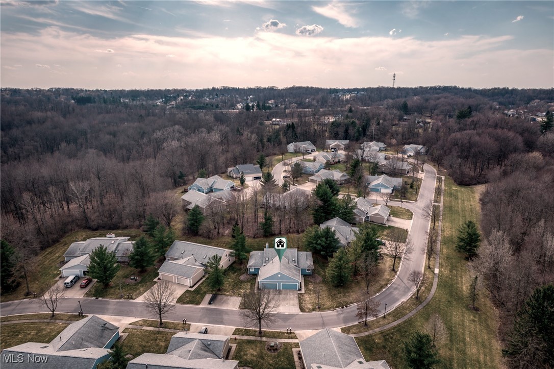 1558 Iris Glen Drive, Twinsburg, Ohio image 36