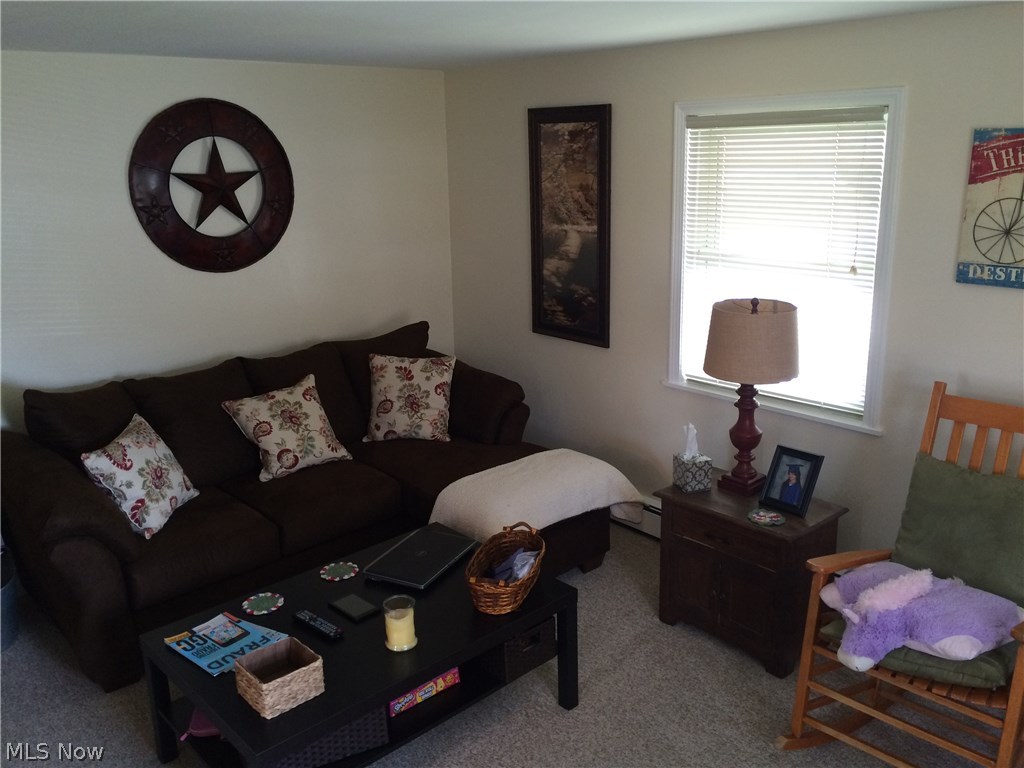 Brimfield Lake - Residential Income