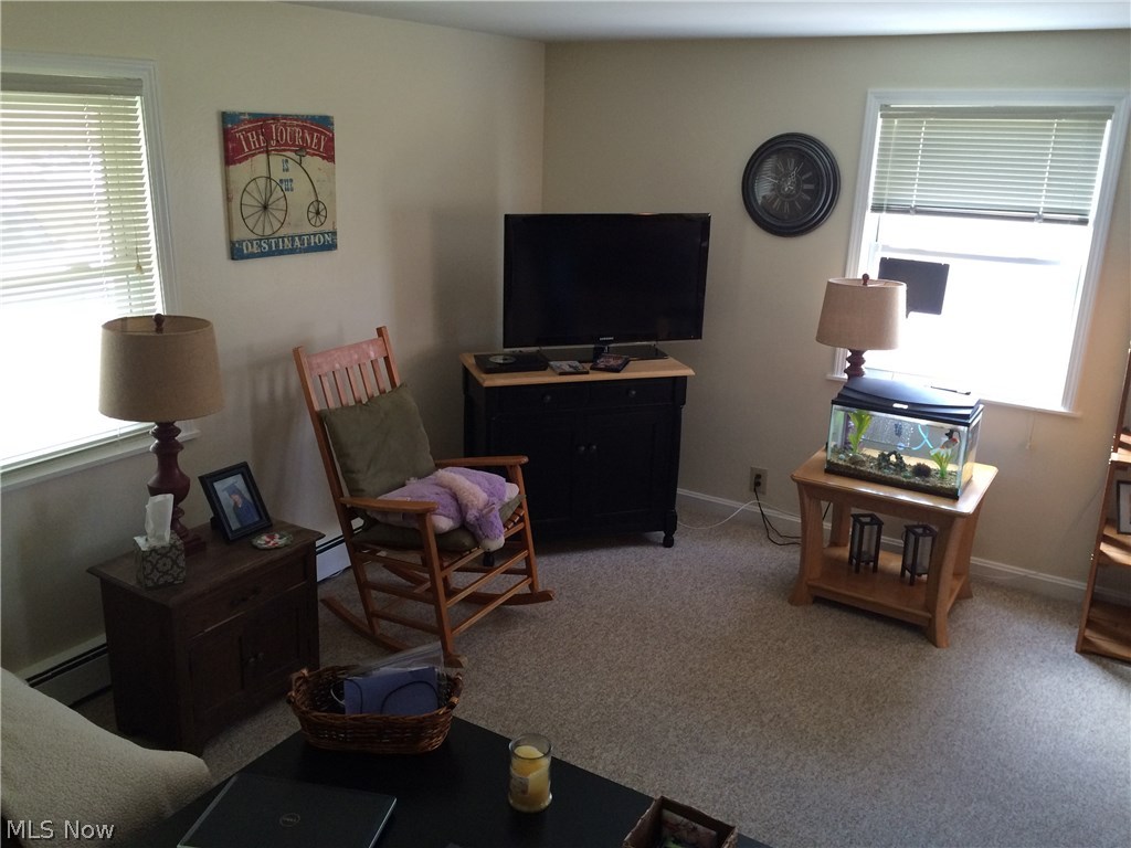 Brimfield Lake - Residential Income