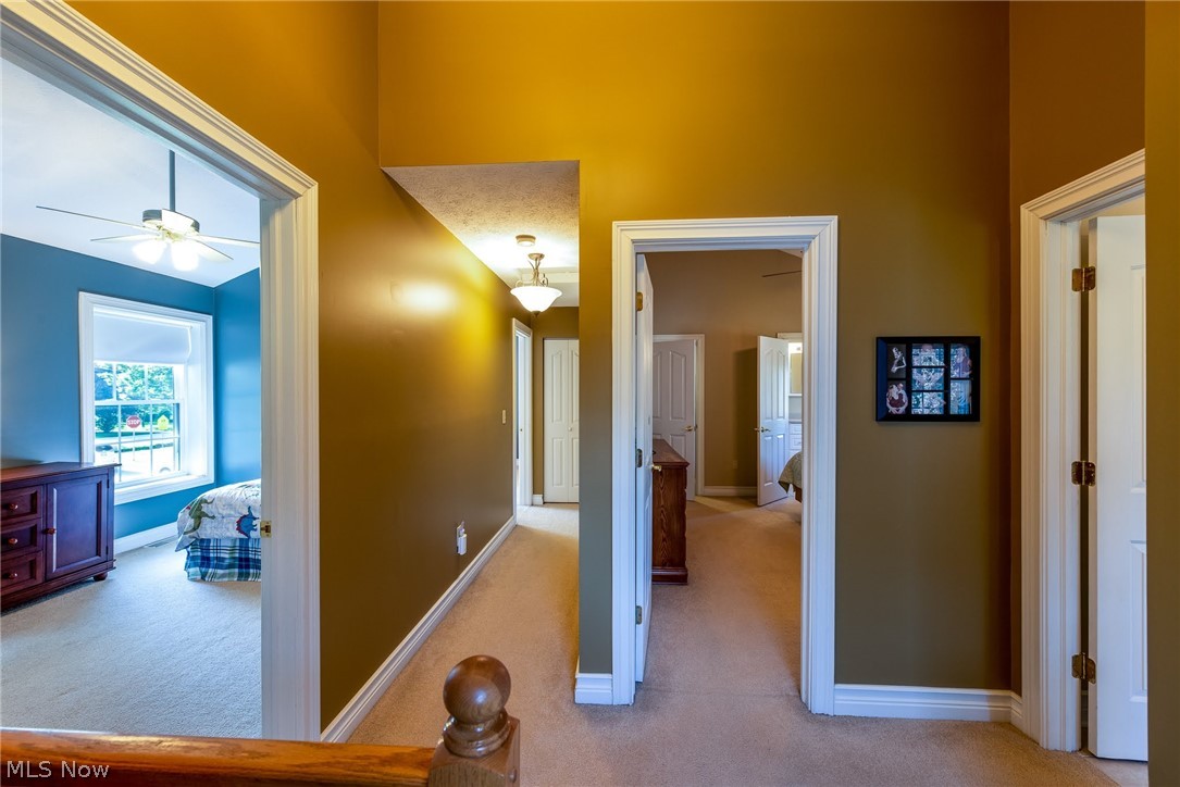 Keenan Park Allotment - Residential