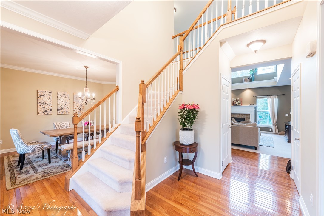 Willowbrook - Residential