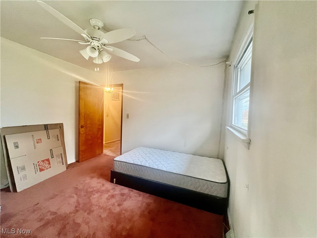 3432 S Raccoon Road, Canfield, Ohio image 7