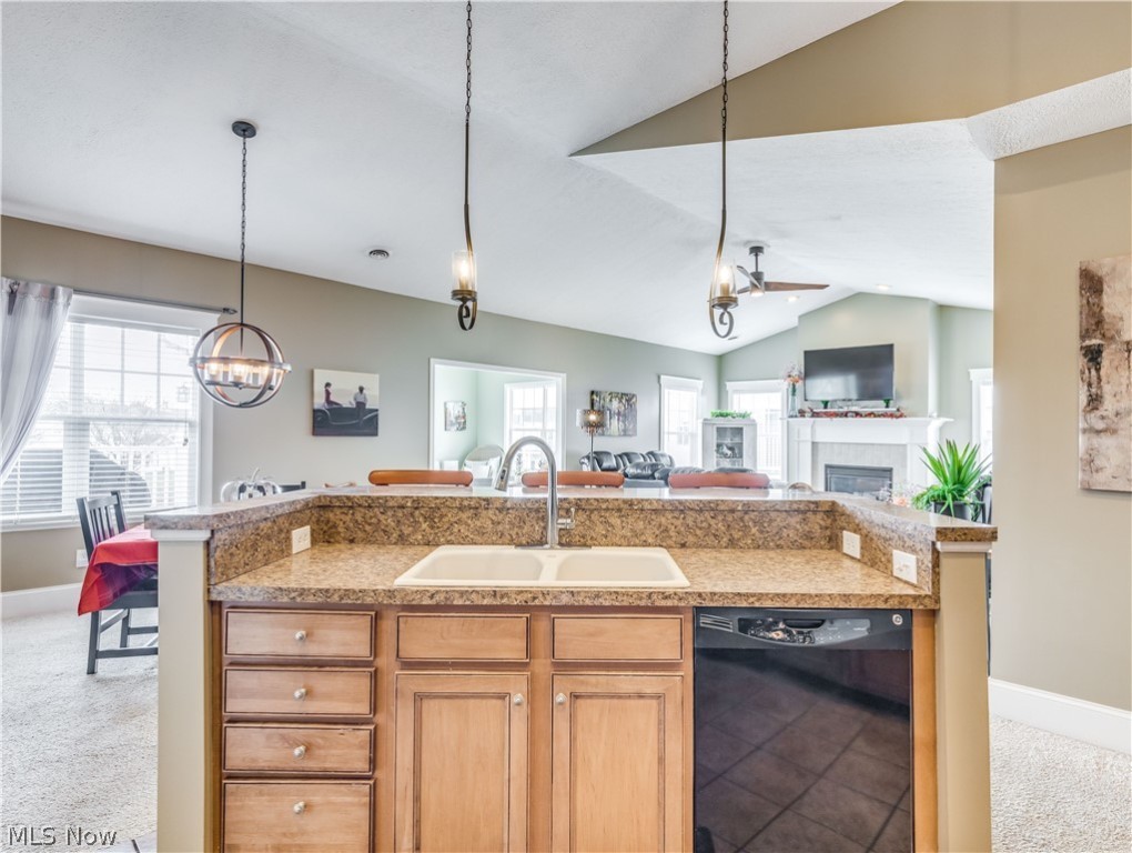 Fountains/Meyers Lake - Residential