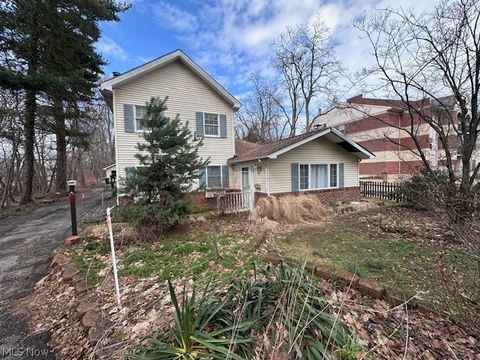 Multifamily For Sale - 204 W South Street<br/> Painesville, OH 44077