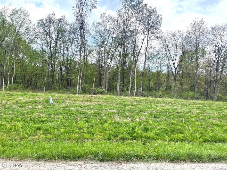 This buildable .53 acre partially wooded lot is on a dead end street and is located in the Perry Local School District. Lot is level and has 60' of frontage and is 383' deep. Public water and public sewer. Directions: Erie St. to east on Forest Ave. SE. to south on Candell St.
