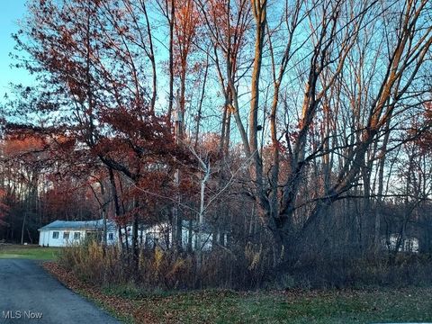 Vacant Land For Sale - Manchester Avenue<br/> Lake Milton, OH 44429