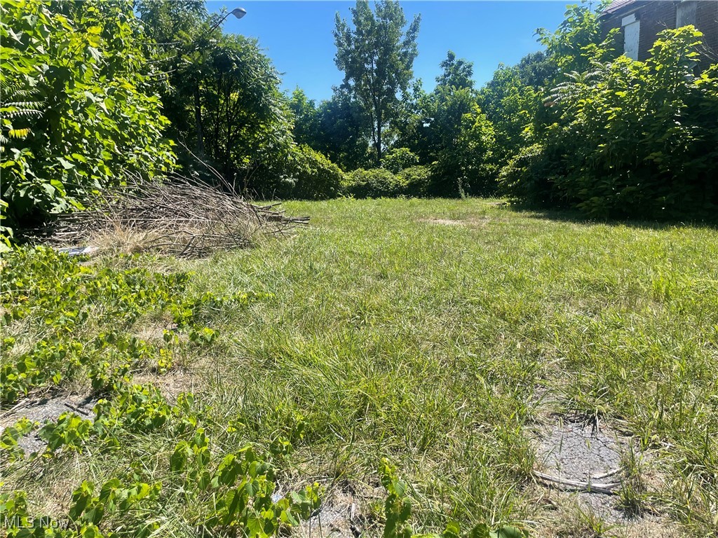 12808 Kinsman Road