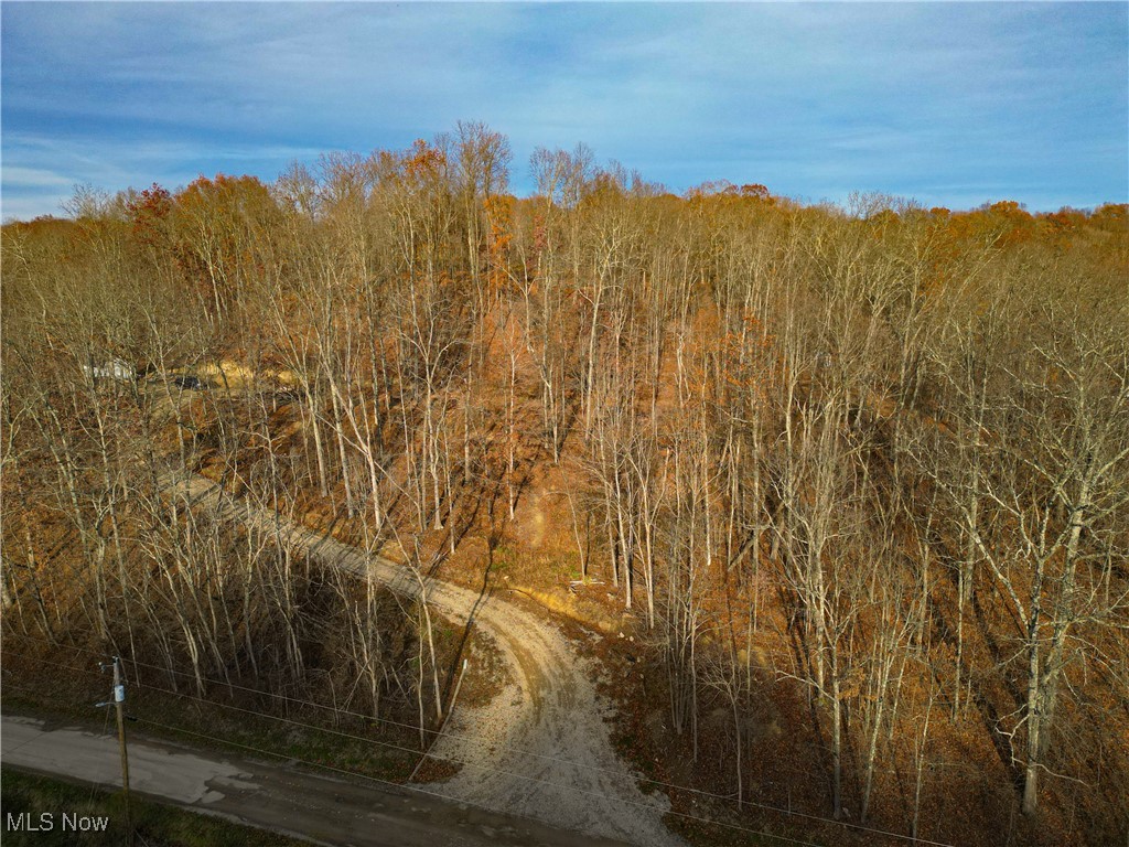 Back Run Road, Philo, Ohio image 15