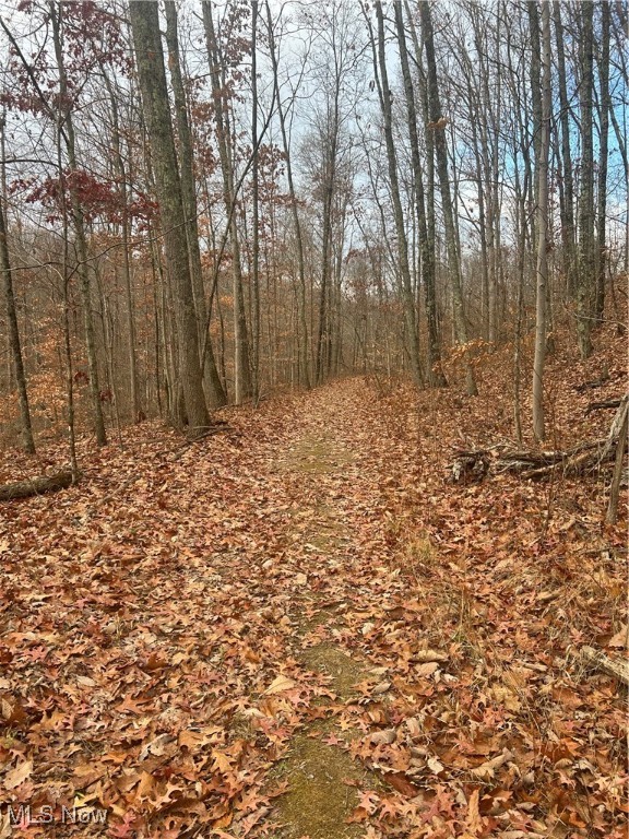 Back Run Road, Philo, Ohio image 6