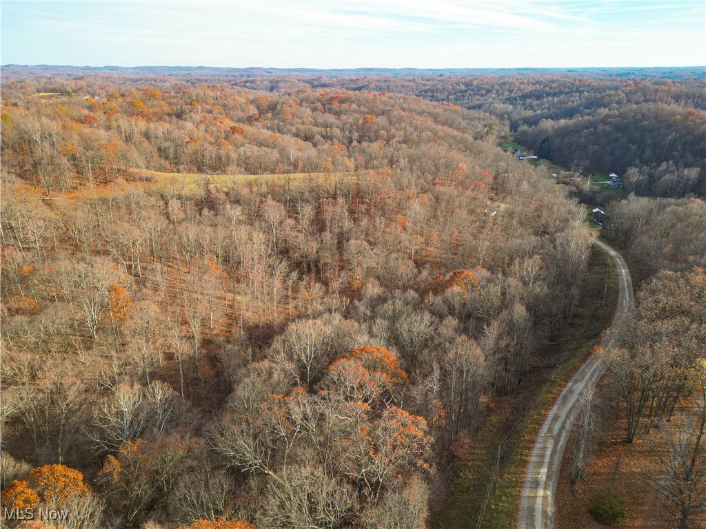 Back Run Road, Philo, Ohio image 3