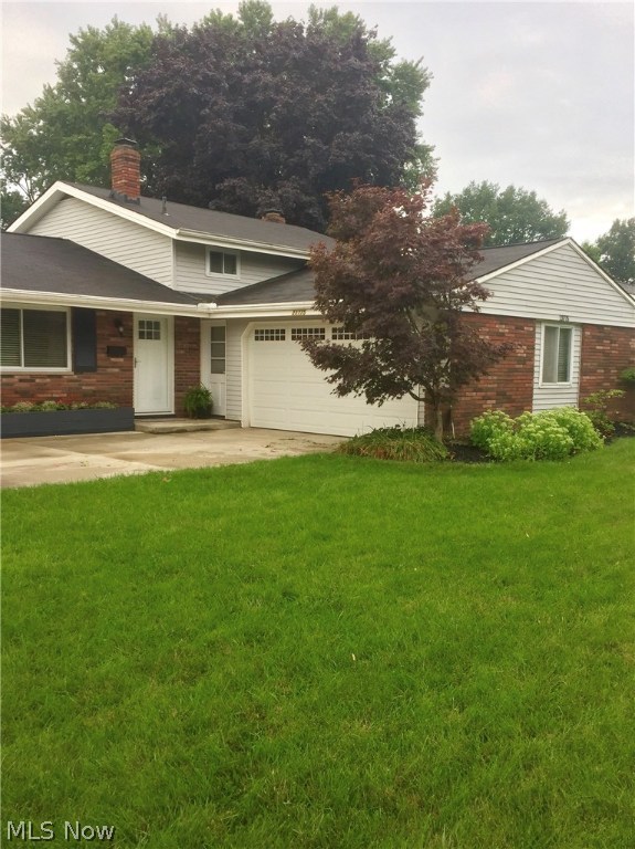 Tree Lane 02 - Residential