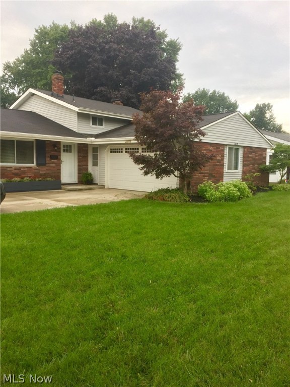 Tree Lane 02 - Residential