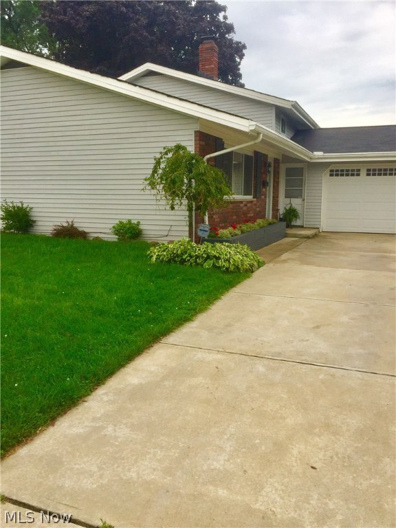 Tree Lane 02 - Residential