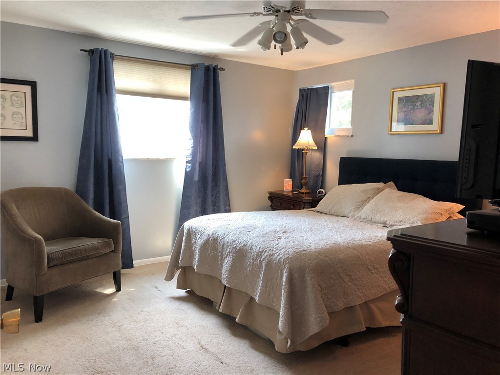 Tree Lane 02 - Residential