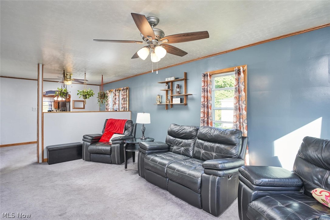 Daniel Allotment - Residential