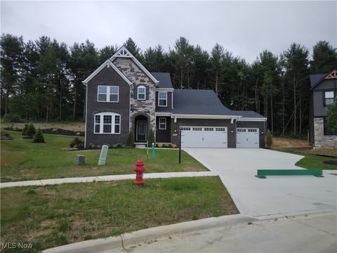 2843 Robert Gary Court Medina OH 44256