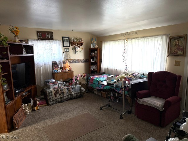 17733 Redwood Road, Lake Milton, Ohio image 8