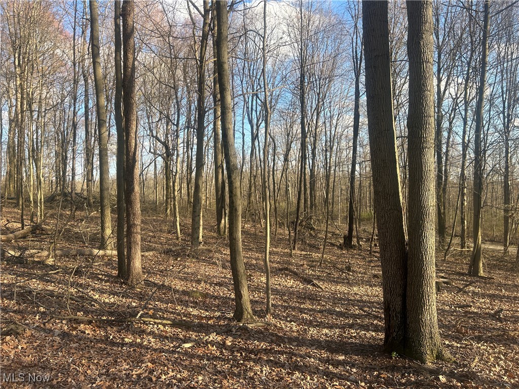 Mckee Road, Walhonding, Ohio image 9