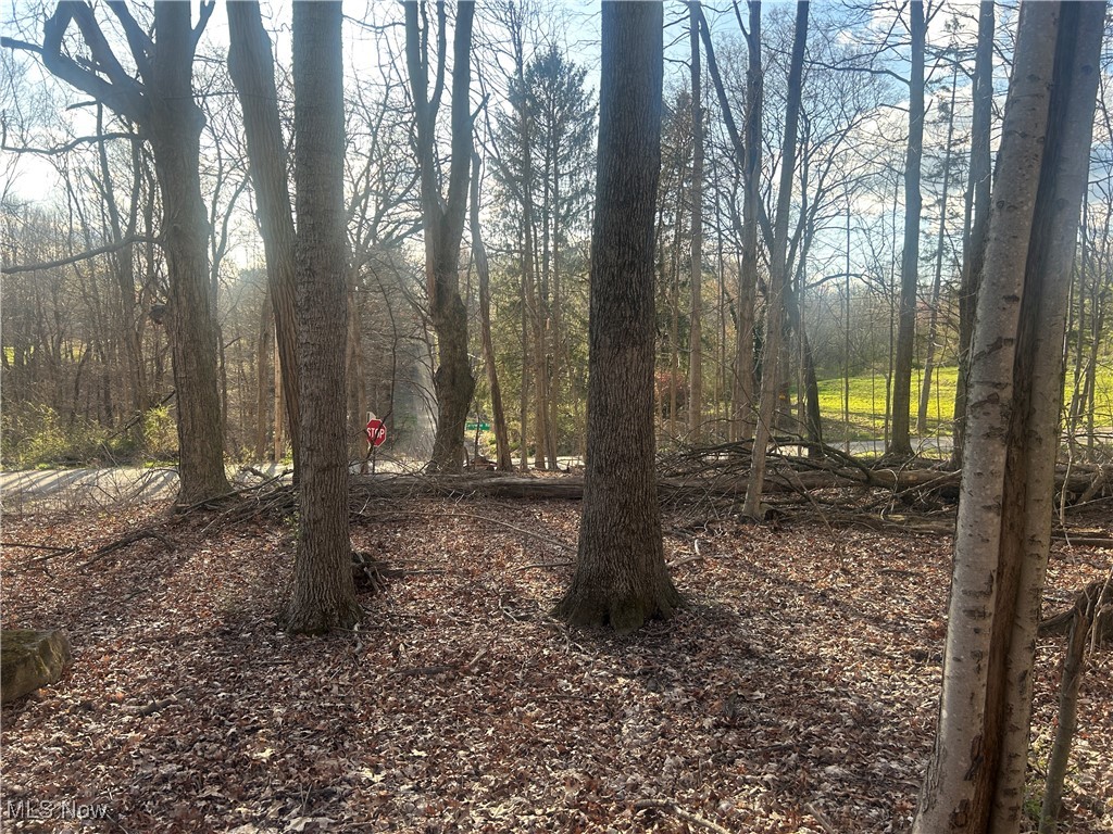 Mckee Road, Walhonding, Ohio image 5