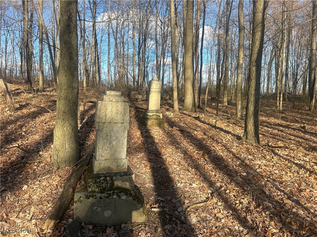 Mckee Road, Walhonding, Ohio image 6
