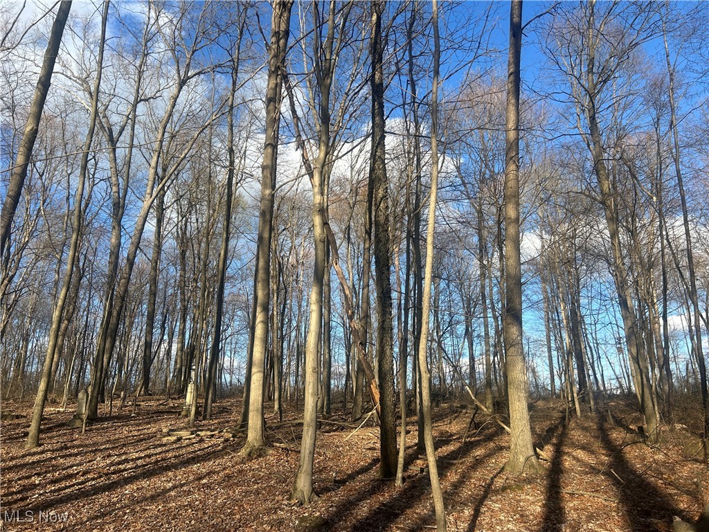 Mckee Road, Walhonding, Ohio image 4