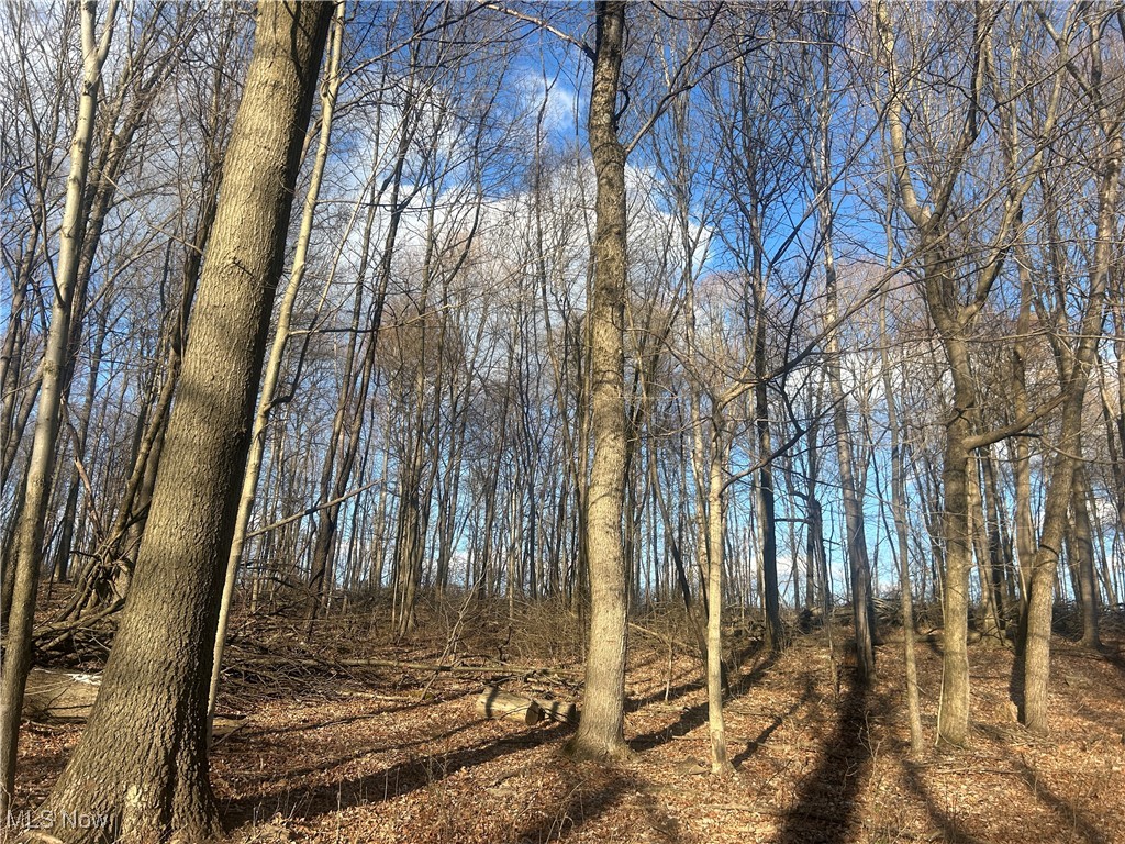 Mckee Road, Walhonding, Ohio image 1