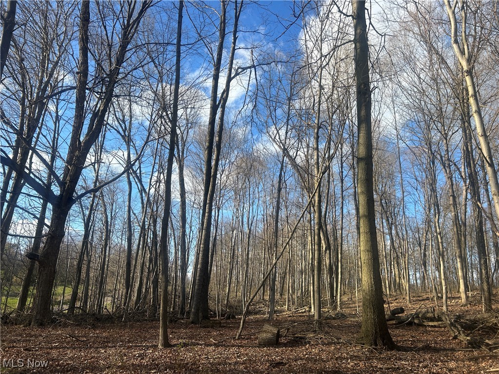 Mckee Road, Walhonding, Ohio image 3