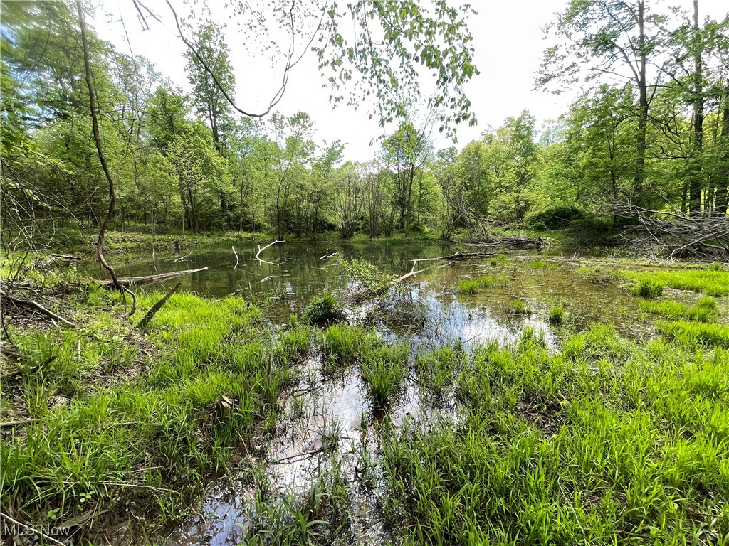 12929 Pleasant Valley Road Rd, Utica, Ohio image 33