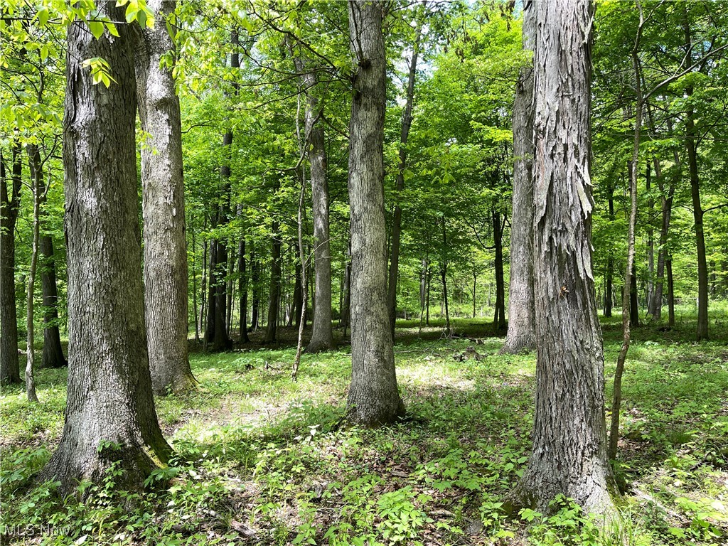 12929 Pleasant Valley Road Rd, Utica, Ohio image 12