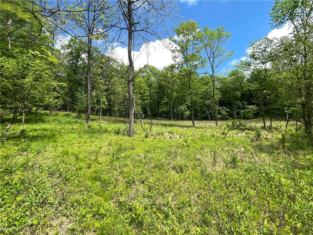 12929 Pleasant Valley Road Rd, Utica, Ohio image 27