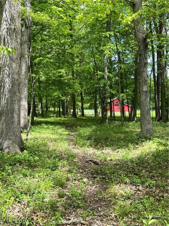 12929 Pleasant Valley Road Rd, Utica, Ohio image 25