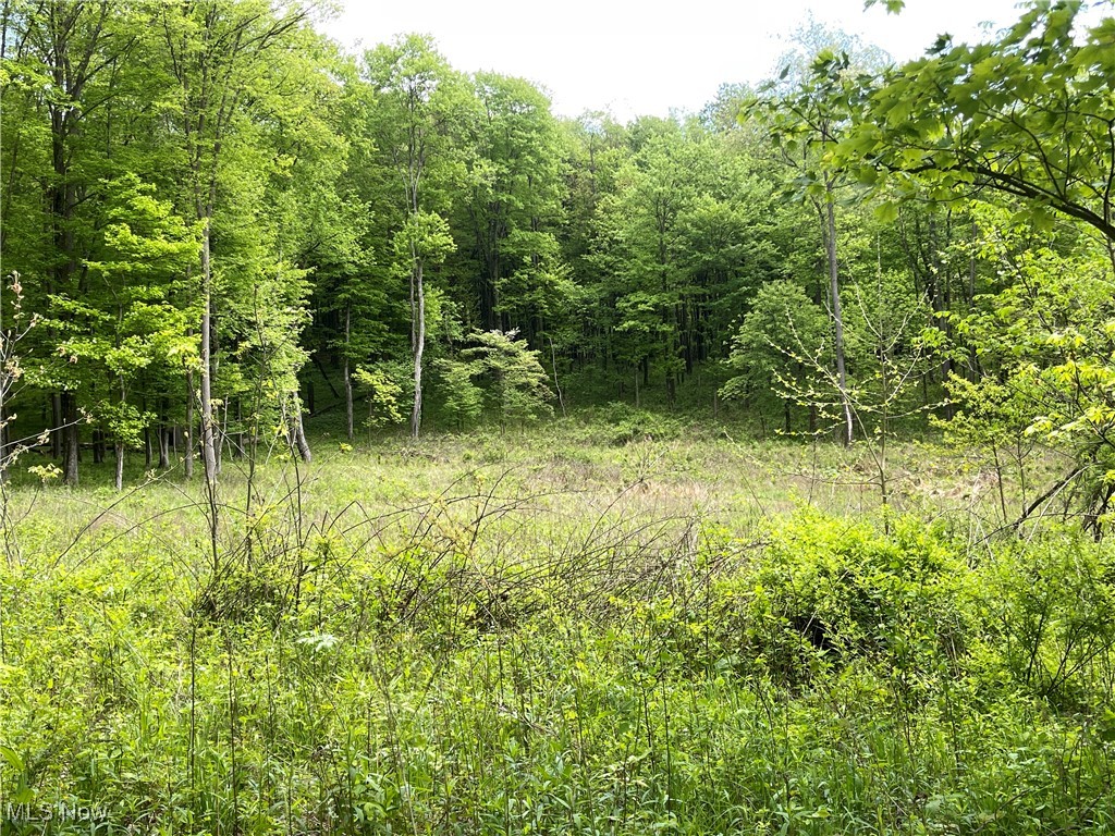 12929 Pleasant Valley Road Rd, Utica, Ohio image 26