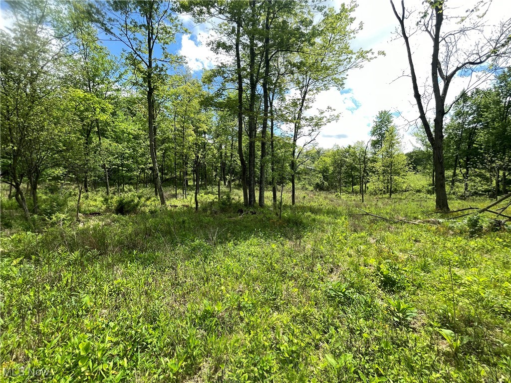 12929 Pleasant Valley Road Rd, Utica, Ohio image 13