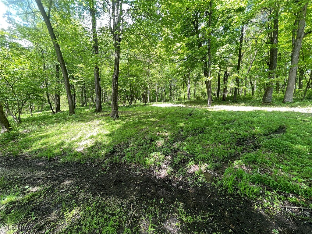 12929 Pleasant Valley Road Rd, Utica, Ohio image 22