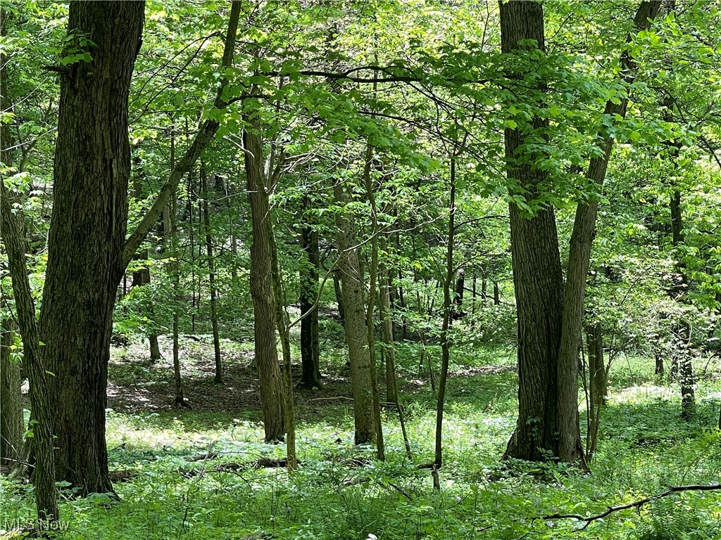 12929 Pleasant Valley Road Rd, Utica, Ohio image 20